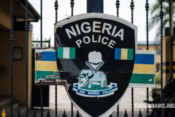 Security Guard Arrested For Allegedly Stealing N39m In Property From Lagos Company