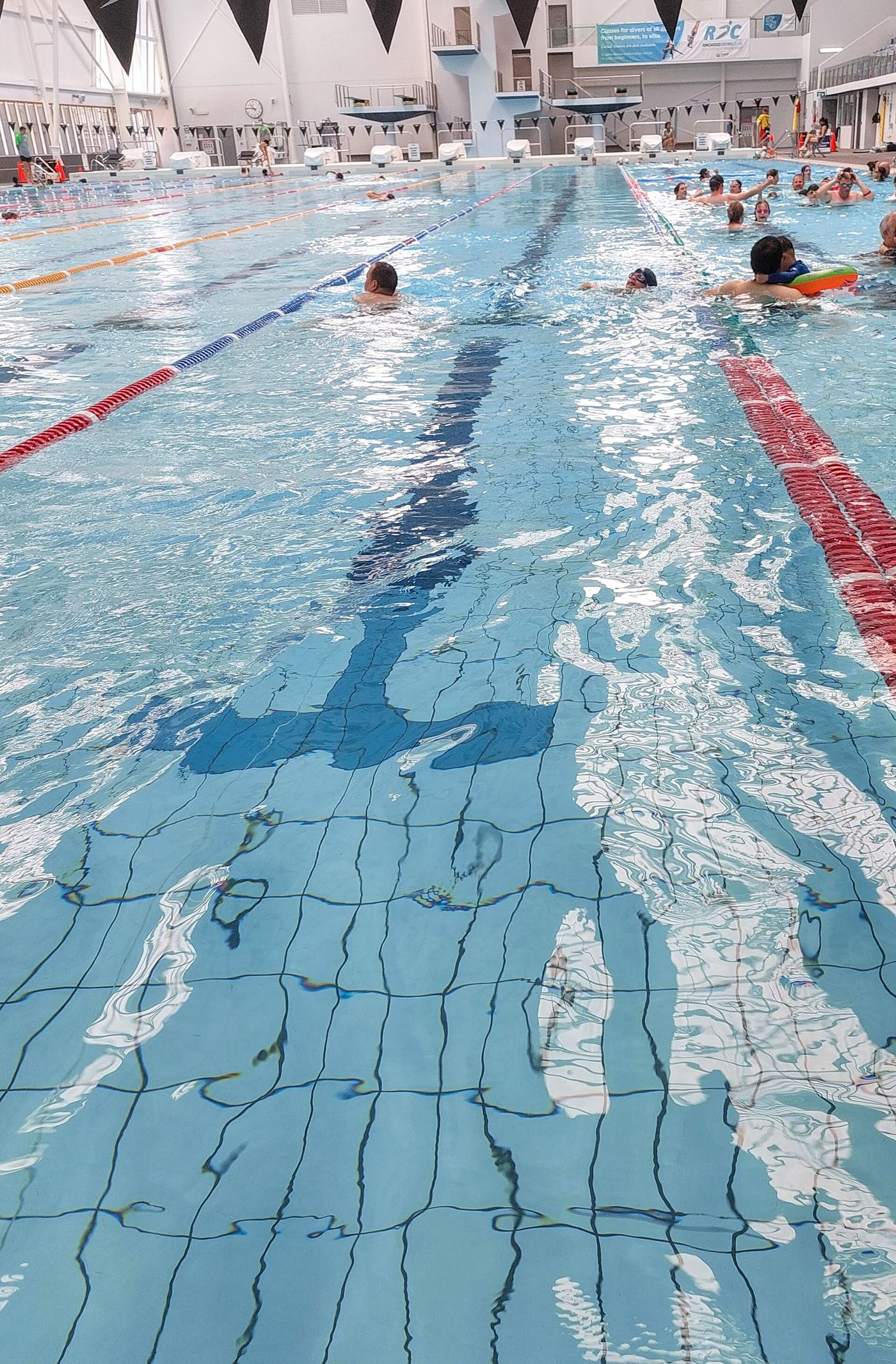 Indoor swimming pool lanes